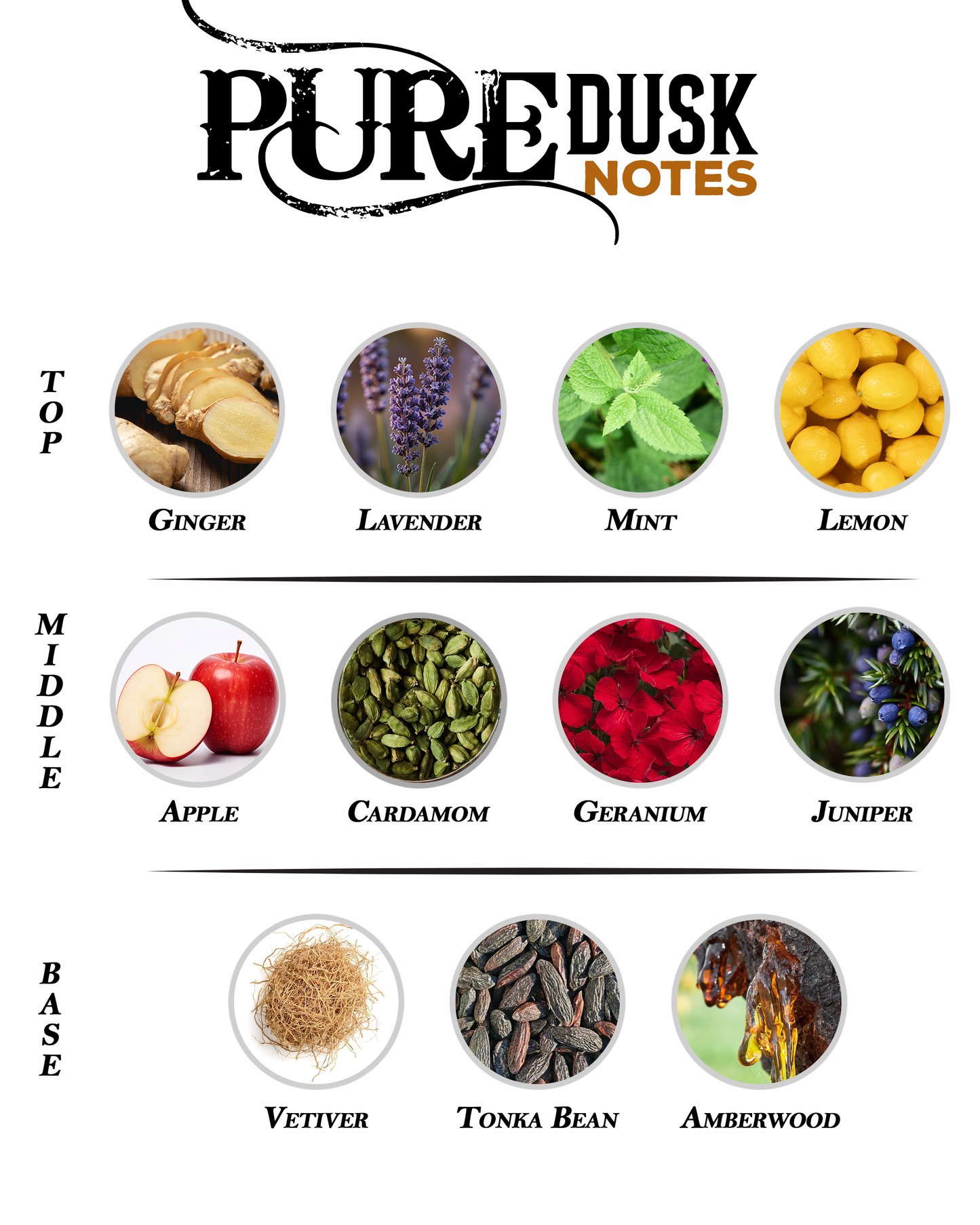 Pure Dusk - Inspired by AZZARO WANTED