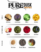 Pure Dusk - Inspired by AZZARO WANTED