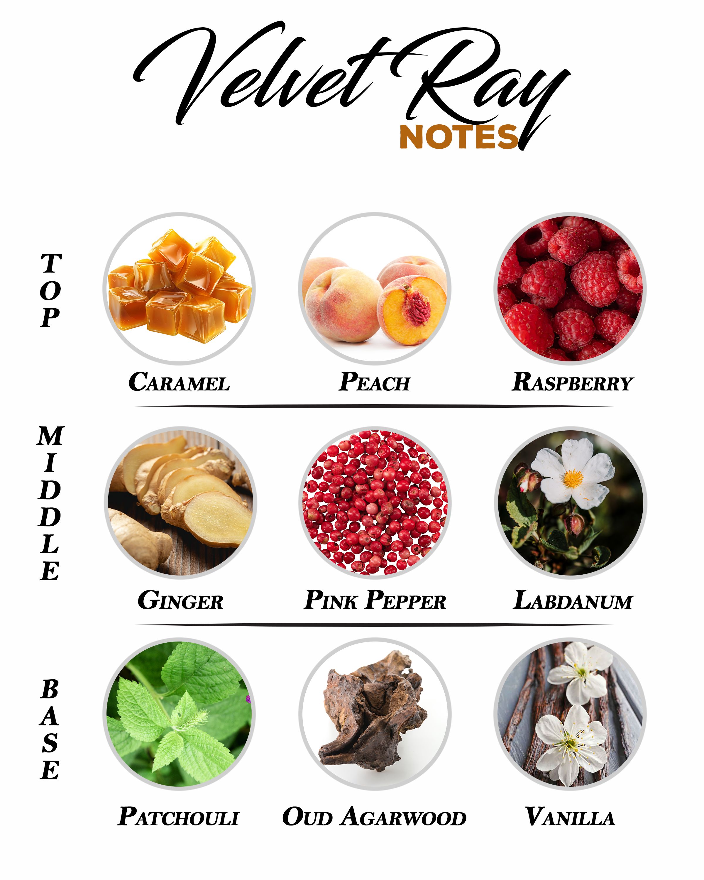 Velvet Ray - Inspired by BYRON MULA MULA